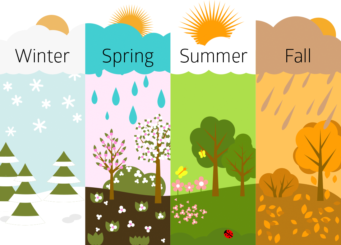 Seasons of the year spring. Карточки Spring Summer autumn Winter.