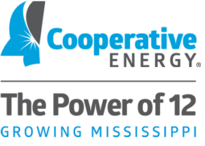 The Power of 12 Cooperative Energy logo block